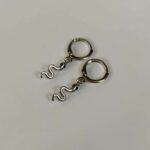 Aretes de formas plateado de serpiente
