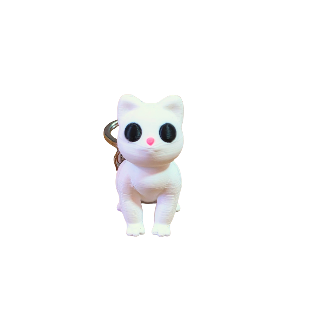 2026/08/489016.png